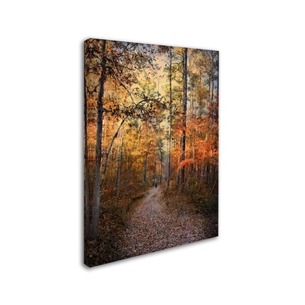 Jai Johnson 'Journey Within' Canvas Art,24x32